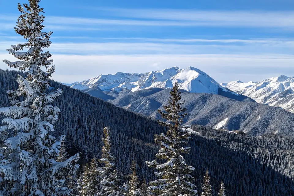 Fresh snow on spruce trees and a ridge of white peaks under a bright blue winter sky near Aspen, Colorado