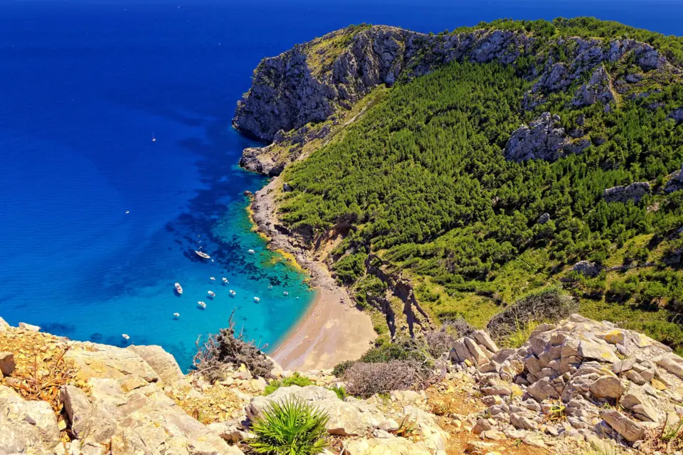 Yachts and sailboats at anchor in a turquoise cove below pine-covered limestone cliffs on the coast of Mallorca