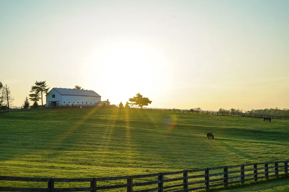 Sunrise over a horse farm near Paris, Kentucky, with a white barn, plank fencing and a horse grazing in the pasture