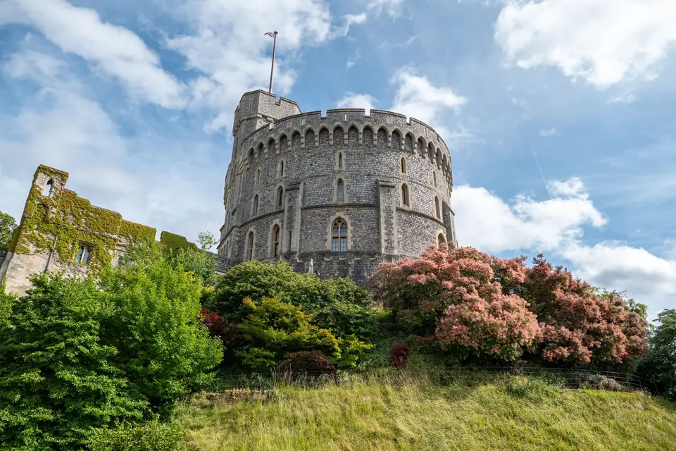 The Round Tower of Windsor Castle, a few miles from Ascot, above a shrub in pink bloom under a blue sky