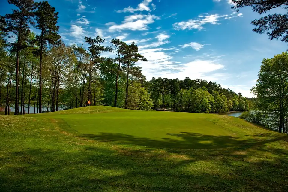 A sunlit golf green under tall pines and leafy trees, with a lake beyond and a bright blue sky