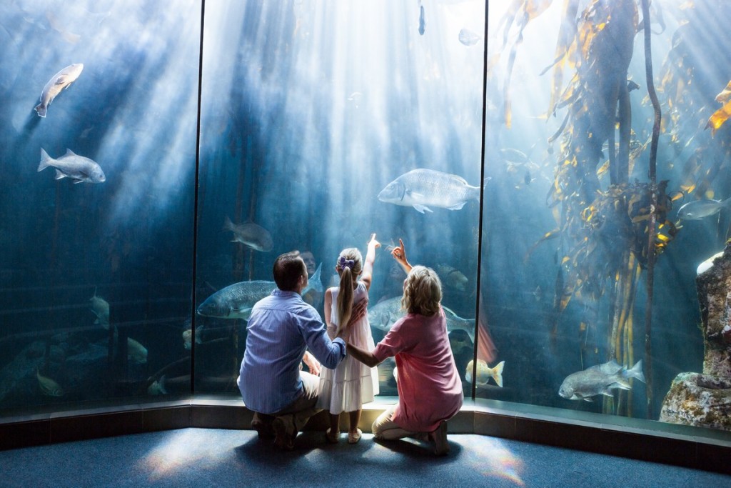 Marine Aquarium in the U.S.